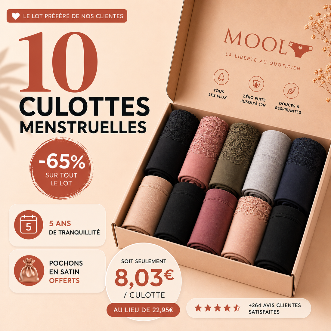 Lot de 10 culottes - Tous Flux - 3XS au 8XL